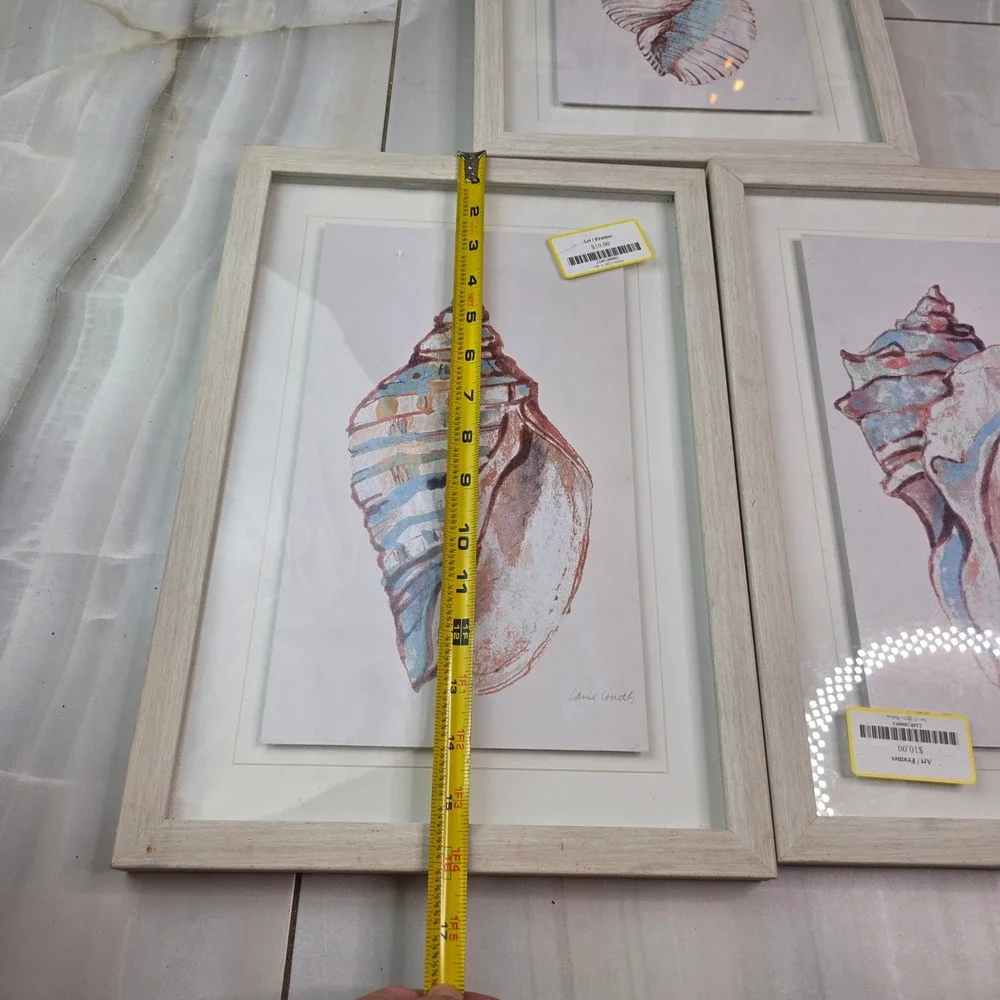 Lanie Loreth Seashell Framed Art Set 3 Coastal Nautical Watercolor Wall Decor‎